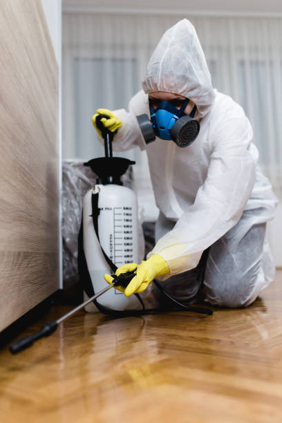 Best Fumigation Services  in Roosevelt, NY